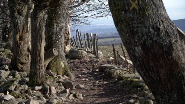 Capture d’écran 2019-02-18 à 09.38.15.jpg