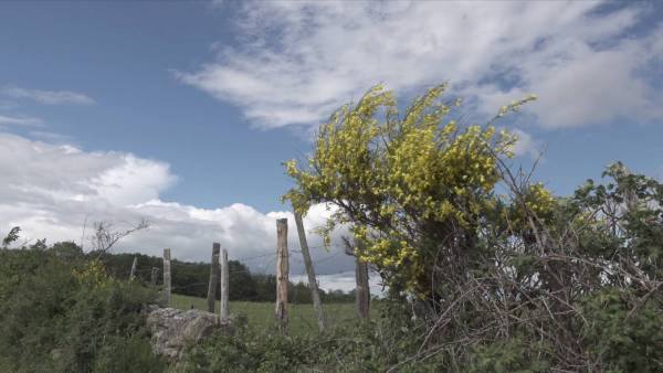 Capture d’écran 2019-05-28 à 19.40.18.jpg