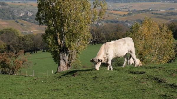 Capture d’écran 2019-10-24 à 14.41.51.jpg