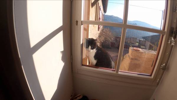 Capture d’écran 2020-01-17 à 12.41.03.jpg