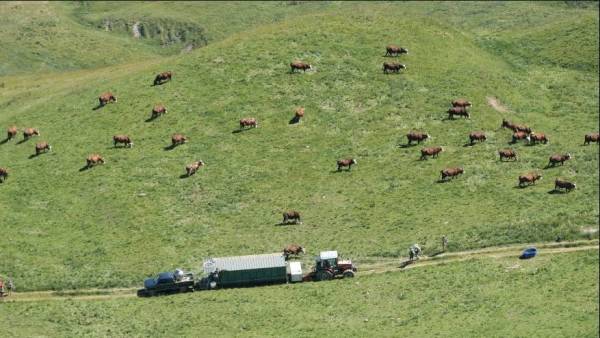 Capture d’écran 2020-08-11 à 10.44.52.jpg
