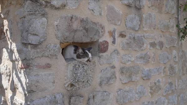 Capture d’écran 2021-04-22 à 16.21.59.jpg