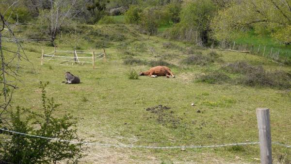 Capture d’écran 2021-04-21 à 18.06.43.jpg