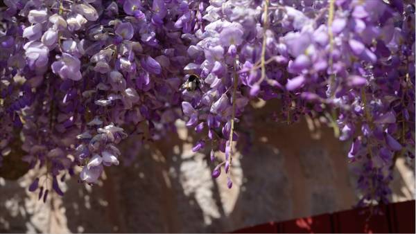 Capture d’écran 2021-04-27 à 15.36.16.jpg