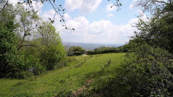 Capture d’écran 2021-05-03 à 20.37.25.jpg