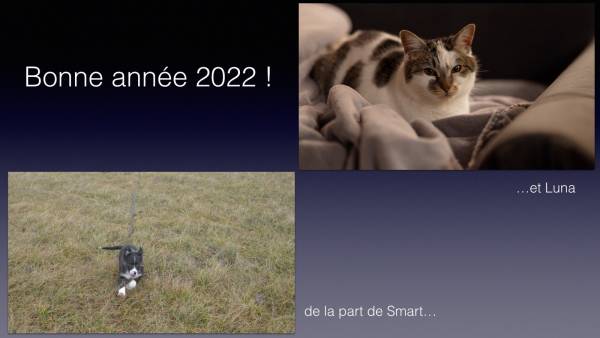 Sans titre5.001.jpg