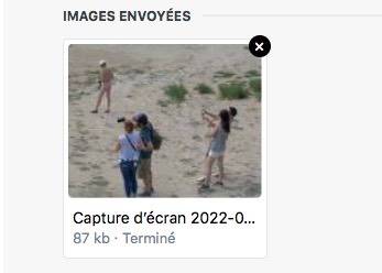 Capture d’écran 2022-04-21 à 12.10.08.jpg