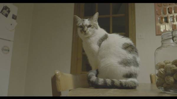 Capture d’écran 2022-04-12 à 08.17.30.jpg