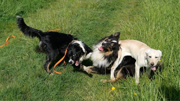 Capture d’écran 2022-04-23 à 17.13.31.jpg