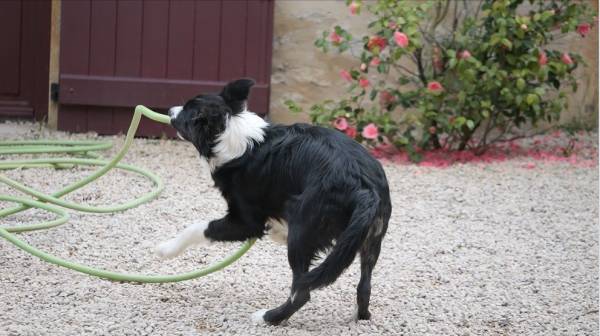 Capture d’écran 2022-04-04 à 08.04.10.jpg