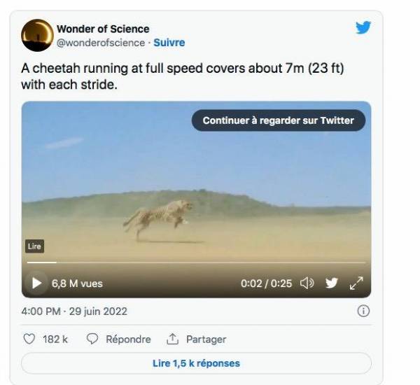 Capture d’écran 2022-07-01 à 10.09.09.jpg