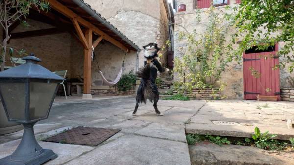 Capture d’écran 2022-09-30 à 4.18.06 PM - copie.jpg