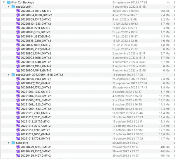 Capture d’écran 2022-10-16 à 14.23.05.png