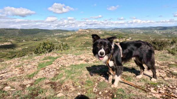 Capture d’écran 2022-10-02 à 5.37.37 PM - copie.jpg