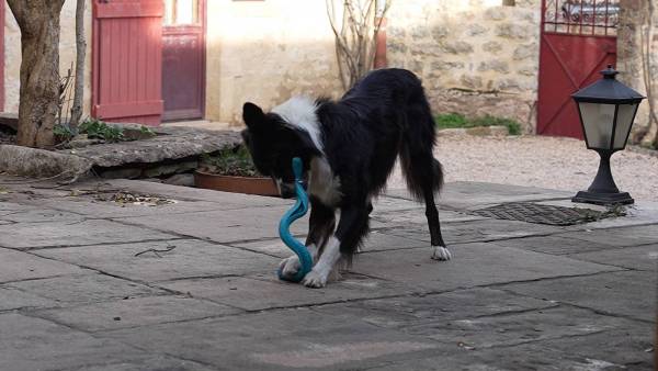 Capture d’écran 2022-11-26 à 20.27.38.jpg