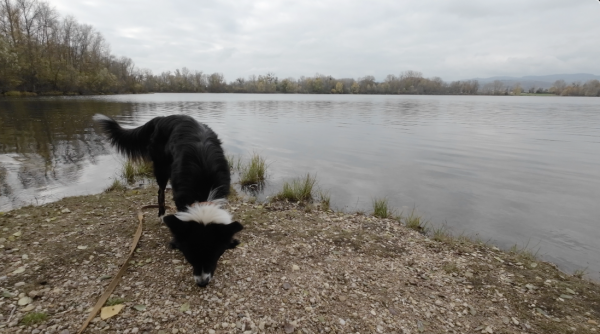 Capture d’écran 2022-12-02 à 8.21.10 AM.png