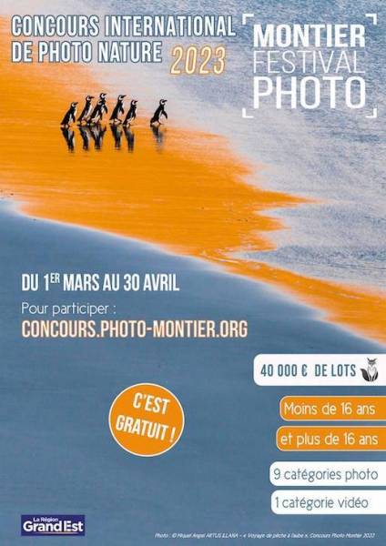 Capture d’écran 2023-04-11 à 07.00.55.jpg