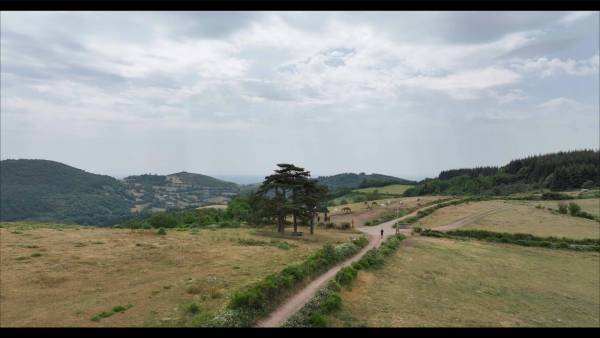 Capture d’écran 2023-06-21 à 6.14.36 PM - copie.jpg