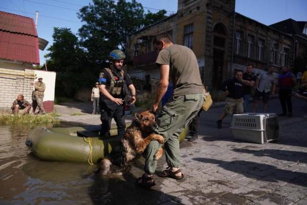 rescuing-animals-from-flood-ark-ukraine.jpg