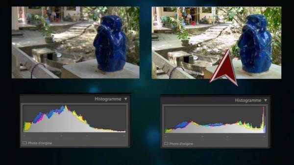 Capture d’écran 2024-03-20 à 07.43.09.jpg