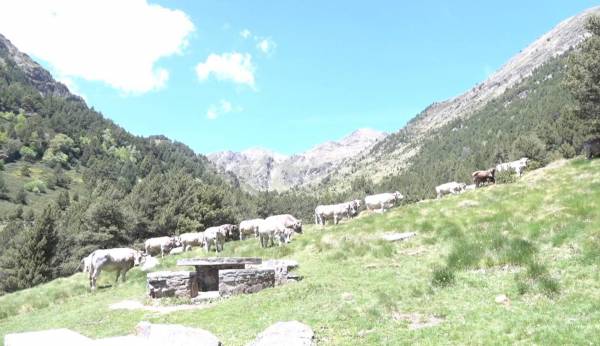 Capture d’écran 2024-08-17 à 17.29.38.jpg