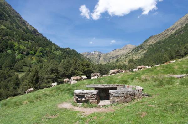 Capture d’écran 2024-08-17 à 17.29.59.jpg