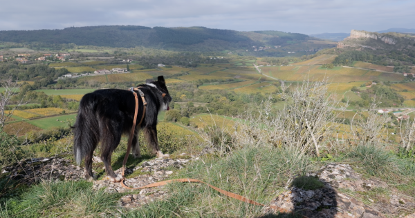 1299142024_Capturedecran2024-10-23a6_51_34PM.png