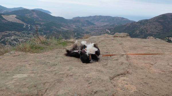 Capture d’écran 2024-10-03 à 9.35.49 AM - copie.jpg