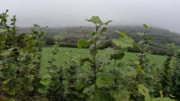 Capture d’écran 2024-11-04 à 17.13.39.jpg