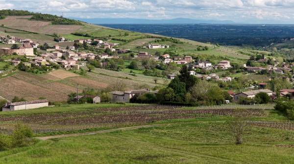 Capture d’écran 2025-05-05 à 3.56.52 PM.jpg