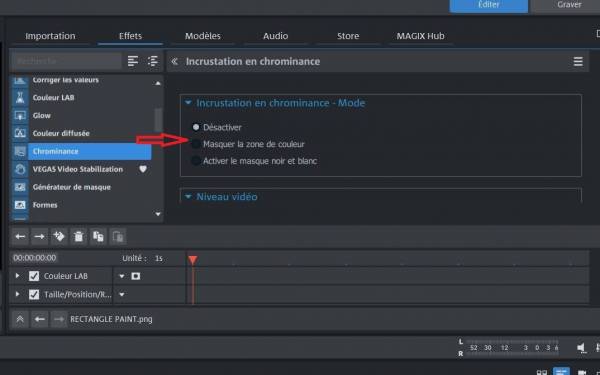 CHROMINANCE 2 (2).JPG