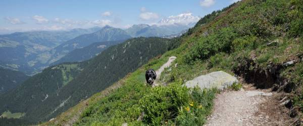 Capture d’écran 2025-07-16 à 3.40.20 PM.jpg