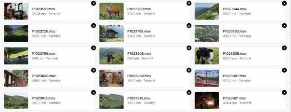 Capture d’écran 2025-07-15 à 3.05.04 PM.jpg