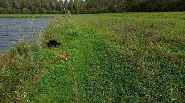 Capture d’écran 2025-10-07 à 5.44.54 PM.jpg