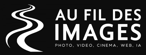 cropped-logo_basic-e1788460526749.png